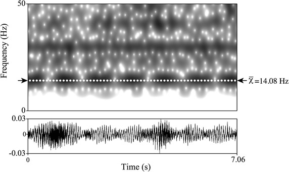 Fig. 2