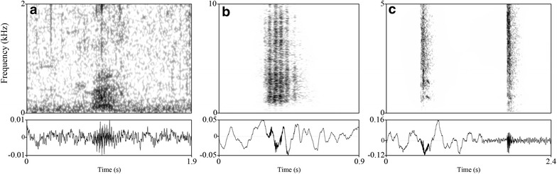 Fig. 1