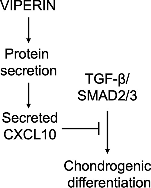 Figure 9.