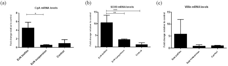 Escherichia coli Nissle 1917 administered as a dextranomar microsphere ...