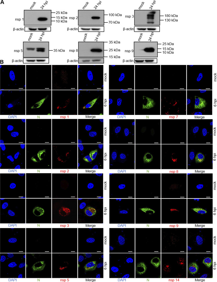 FIG 3