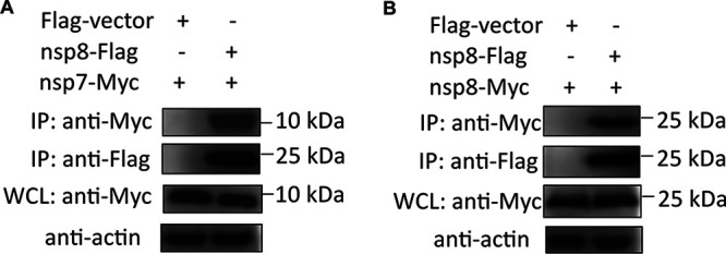 FIG 9