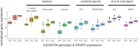 Extended Data Fig. 6