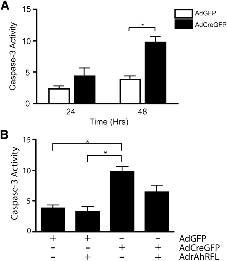 Fig. 8.