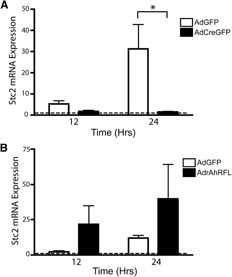 Fig. 9.