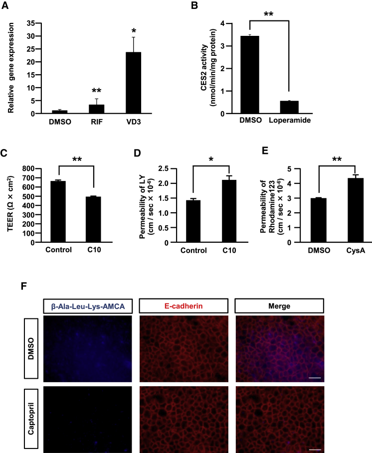 Figure 6