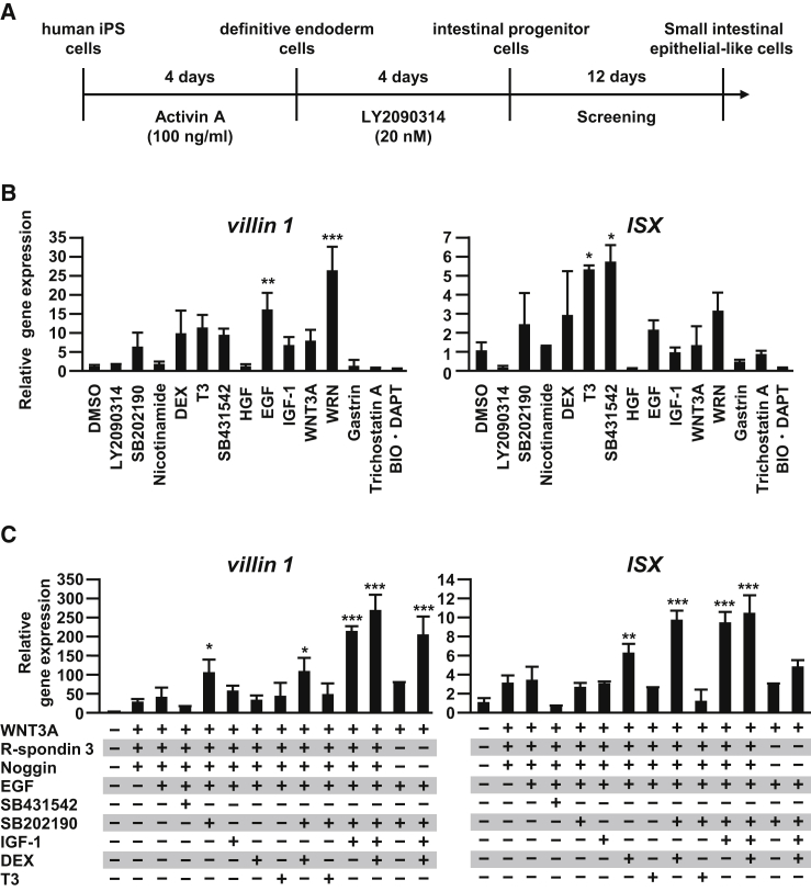 Figure 2