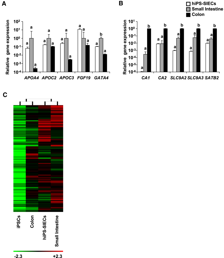 Figure 4