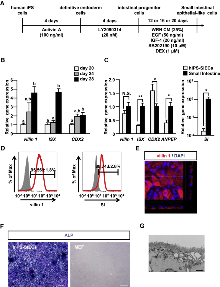 Figure 3