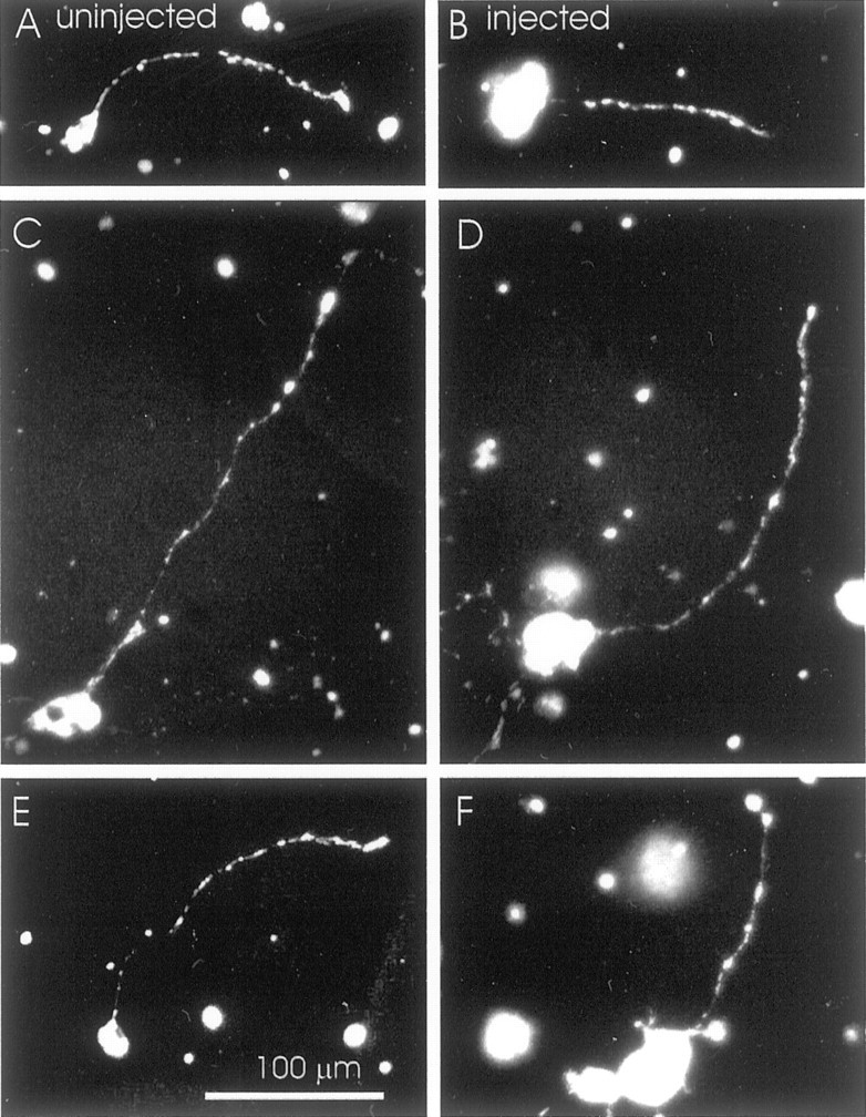 Fig. 10.