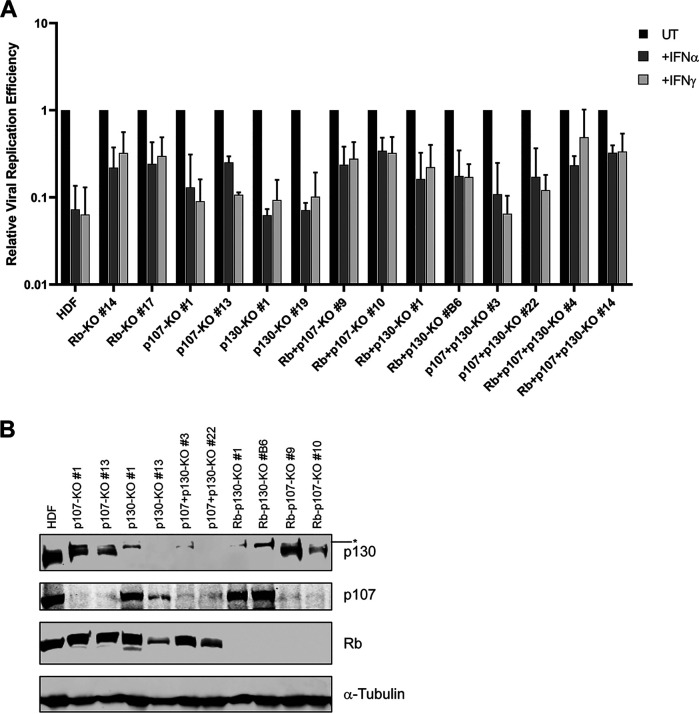 FIG 4