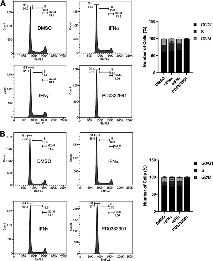 FIG 6