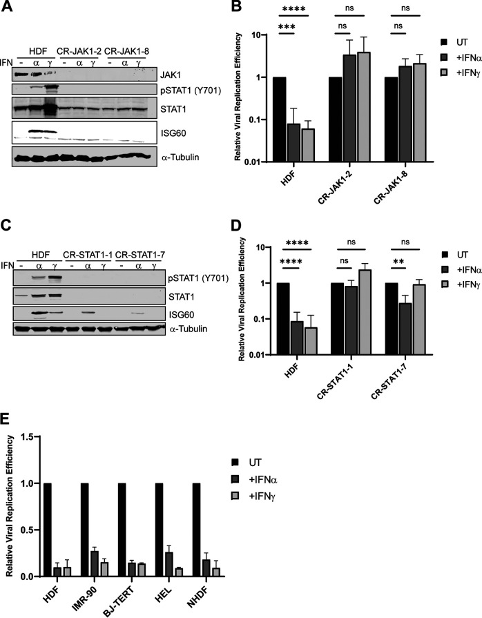 FIG 1