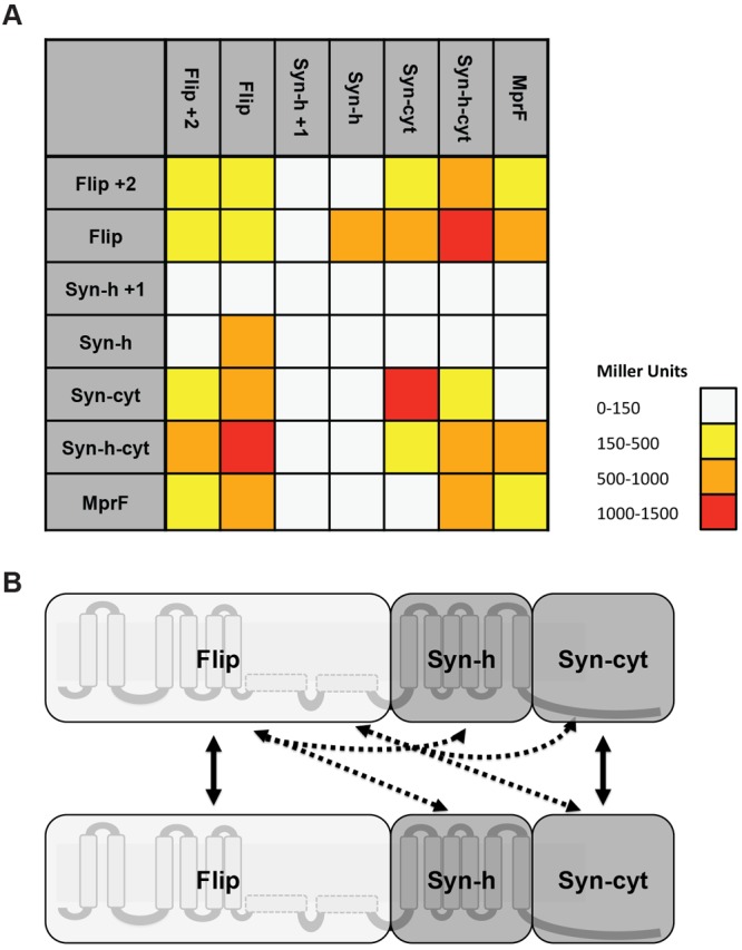 FIG 6 