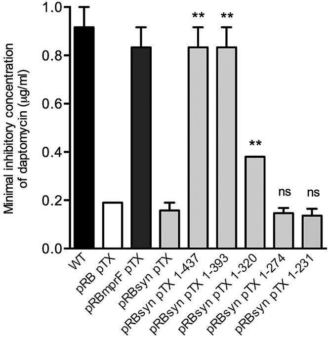 FIG 4 