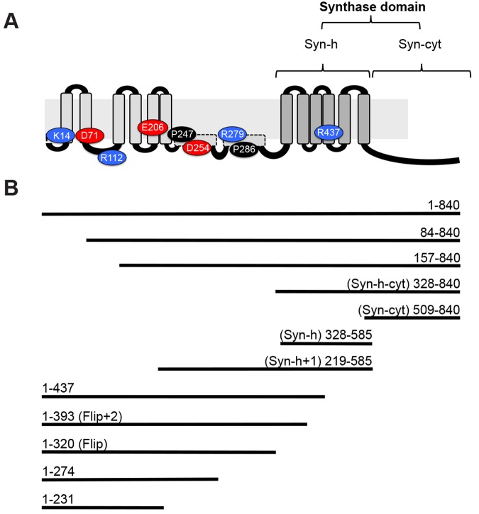 FIG 2 