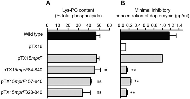 FIG 3 