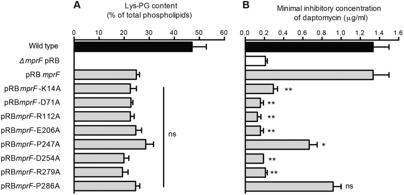 FIG 5 