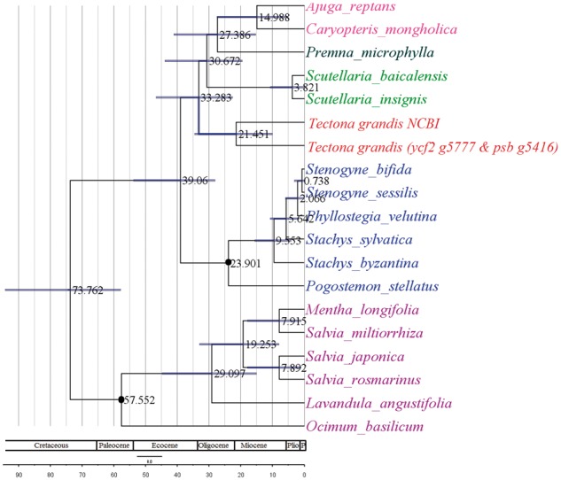 Figure 4.