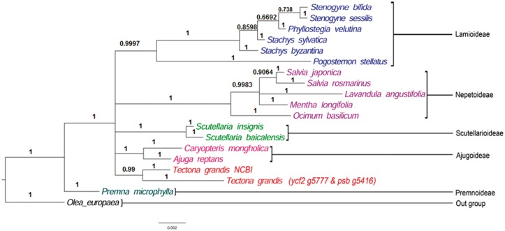 Figure 3.