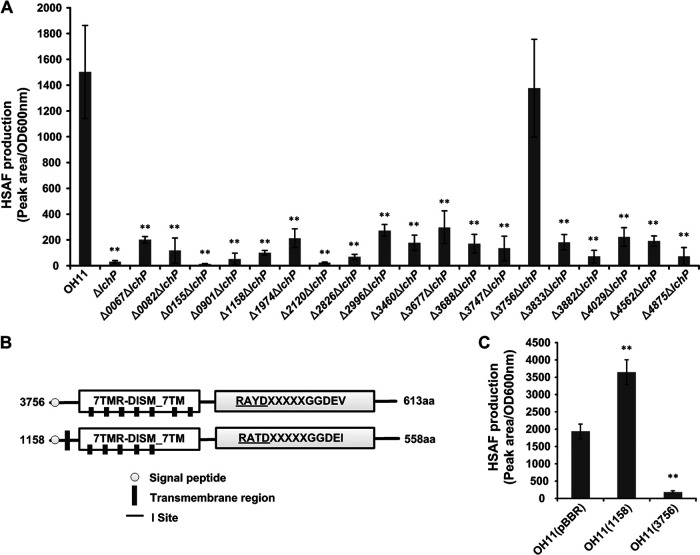 FIG 2