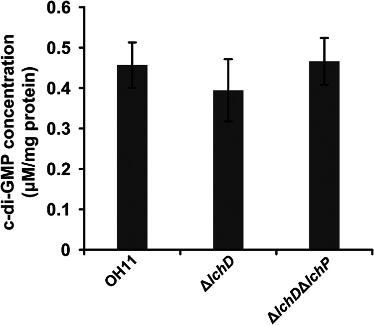 FIG 4