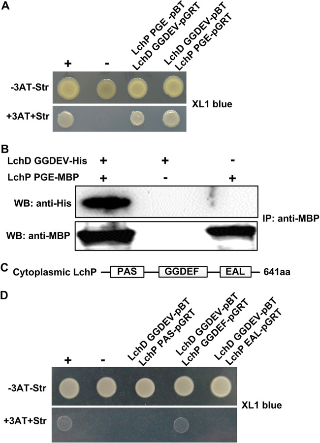 FIG 3