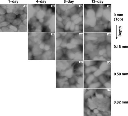 FIG. 2.