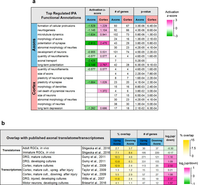 Figure 4—figure supplement 2.