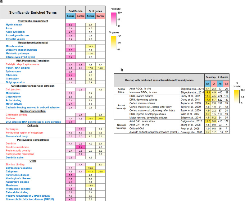 Figure 3—figure supplement 4.