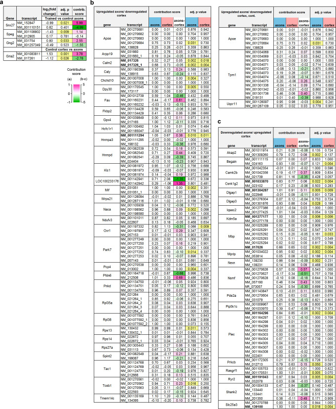 Figure 4—figure supplement 3.