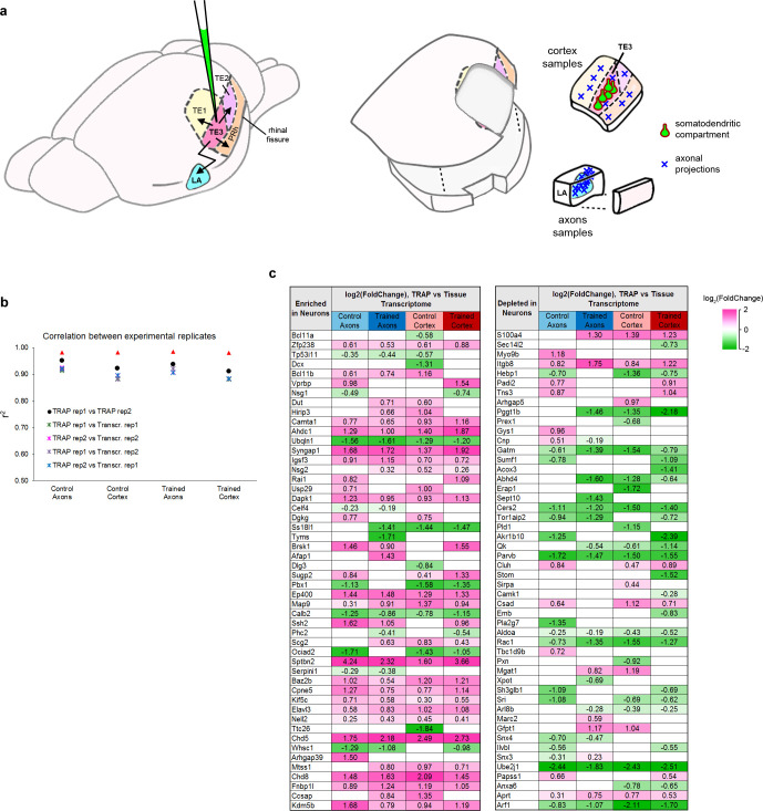 Figure 3—figure supplement 1.