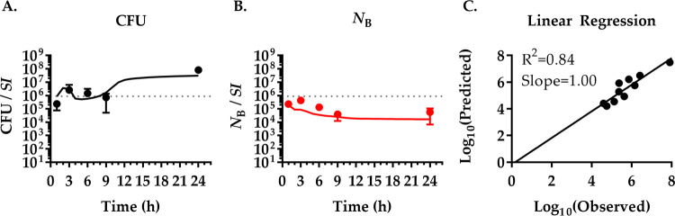 FIG 5