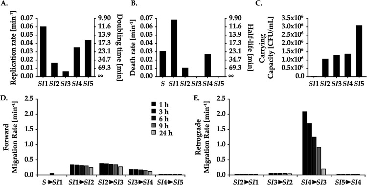 FIG 3