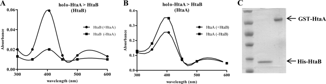 Fig. 10.