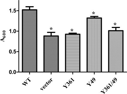 Fig. 8.