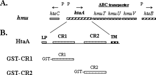 Fig. 1.