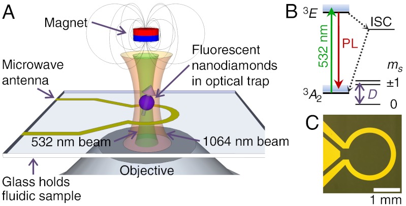 Fig. 1.