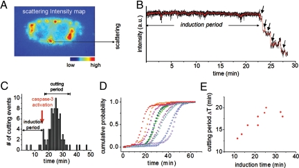 Fig. 4.