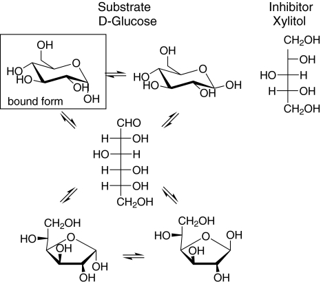 Fig. 10