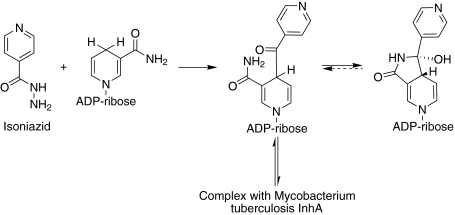 Fig. 11