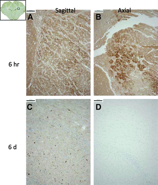 FIG. 6.