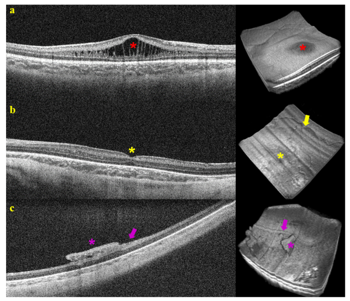 Fig. 7