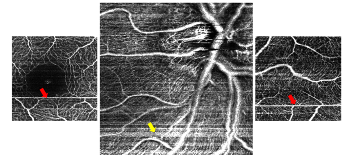 Fig. 8