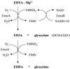 FIG. 5
