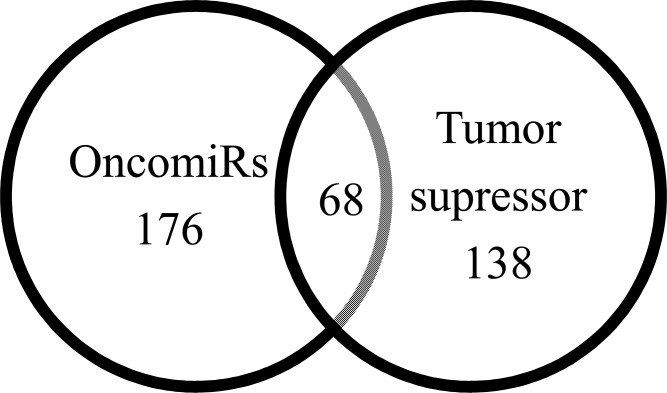 Fig. (4)