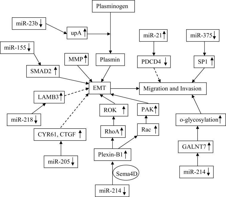 Fig. (9)