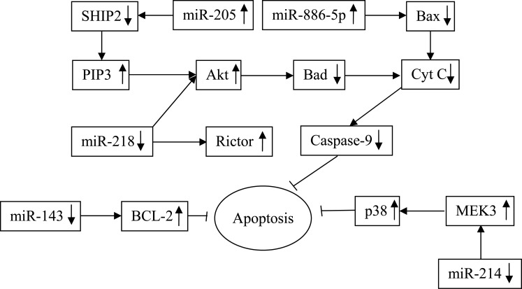 Fig. (7)