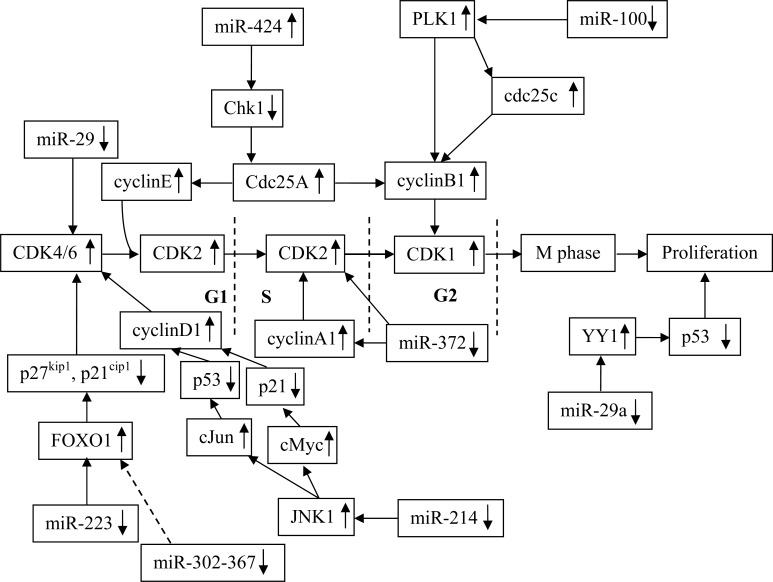 Fig. (8)