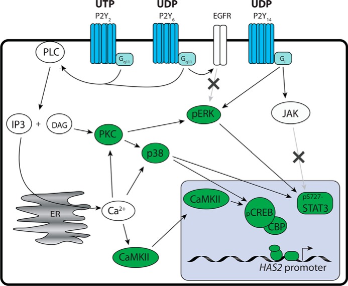 FIGURE 6.